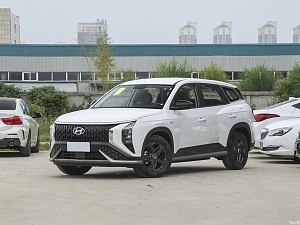 Hyundai Mufasa DLX 2.0 AT