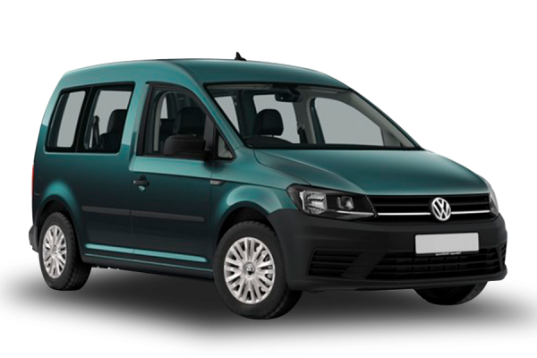 Volkswagen Caddy Bamboo garden
