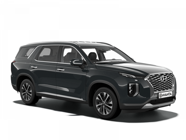 Hyundai Palisade 2018 Steel Graphite